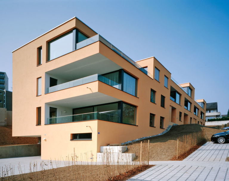 hangenmoos_waedenswil_001